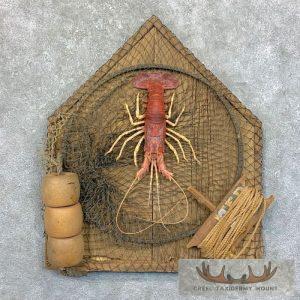 Red Lobster Ocean Decor Taxidermy