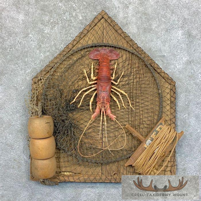 Red Lobster Ocean Decor For Sale