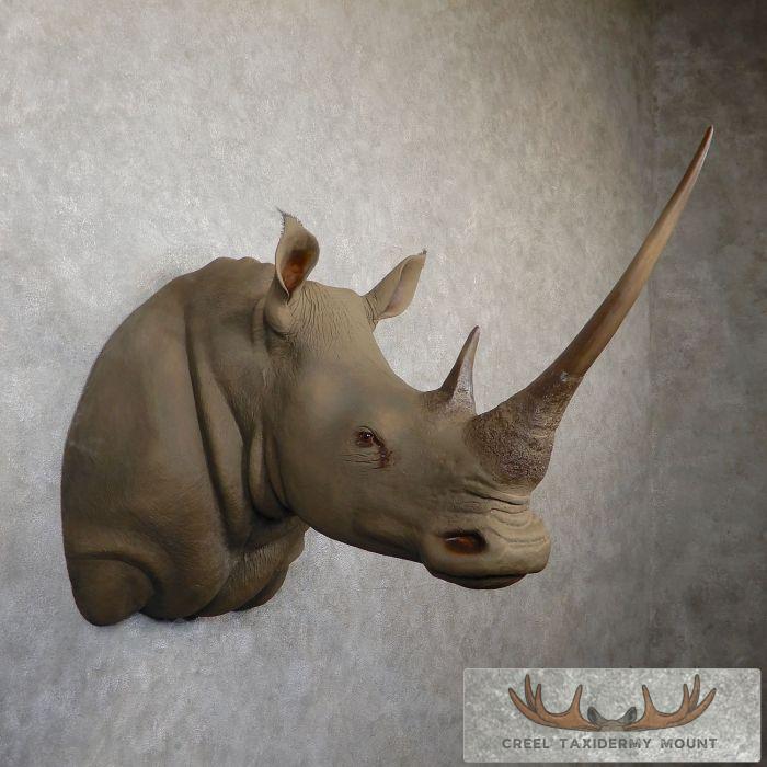 REPLICA OR SKIN MOUNT visual data 3