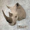 White Rhinoceros Replica Taxidermy Shoulder Mount For Sale