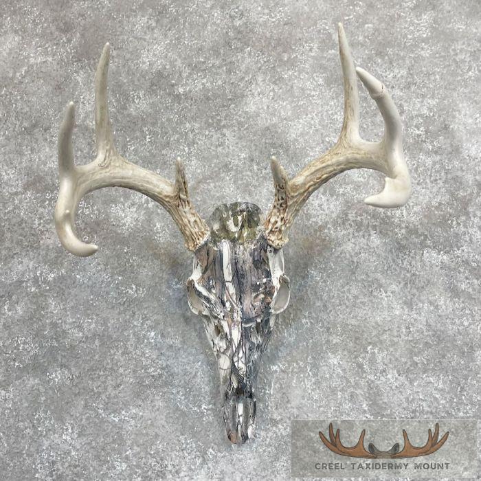 Whitetail Deer Skull Dipped Taxidermy Mount For Sale