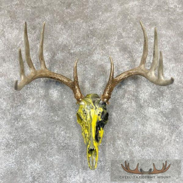 Whitetail Deer Skull Dipped Taxidermy Mount For Sale