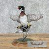 Wood Duck Taxidermy Bird Mount For Sale
