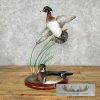 Wood Duck Pair Taxidermy Bird Mount For Sale - Image 2