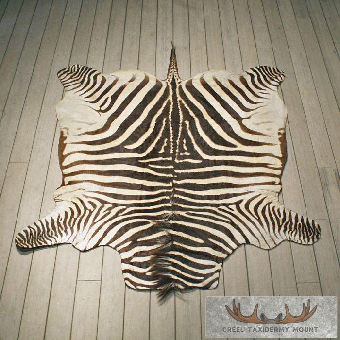 African Burchell's Zebra Rug