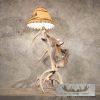Coyote Antler Lamp Taxidermy Mount For Sale
