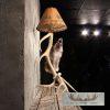 Coyote Antler Lamp Taxidermy Mount For Sale - Image 10