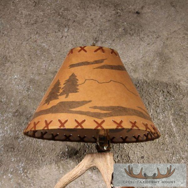 Coyote Antler Lamp Taxidermy Mount For Sale - Image 11