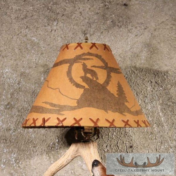 Coyote Antler Lamp Taxidermy Mount For Sale - Image 3