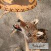 Coyote Antler Lamp Taxidermy Mount For Sale - Image 5
