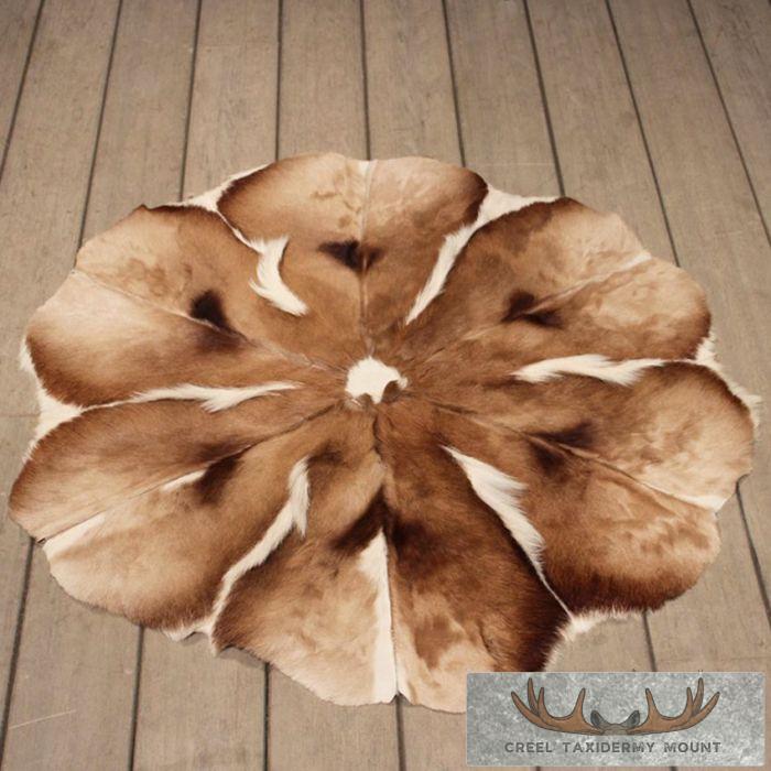 Springbok Rug - Creel Taxidermy