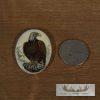 Ivory Carved Eagle Medallion For Sale - Image 4
