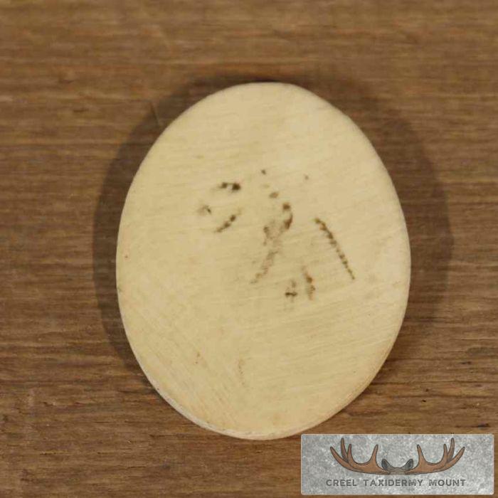 Ivory Whale & Ship Medallion - Image 4