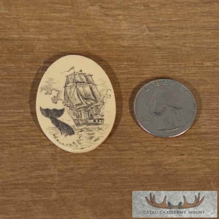 Ivory Whale & Ship Medallion - Image 6