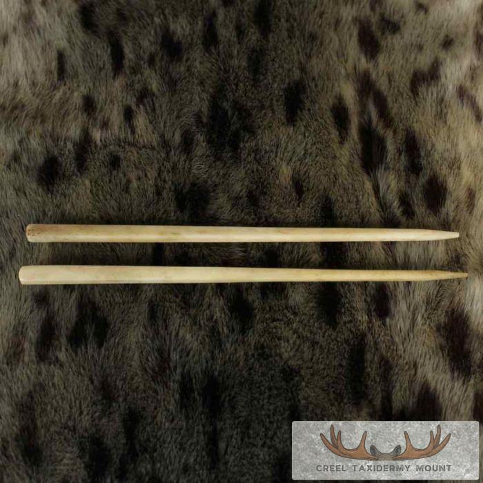 Ivory Carved Chopstick Set - Image 4