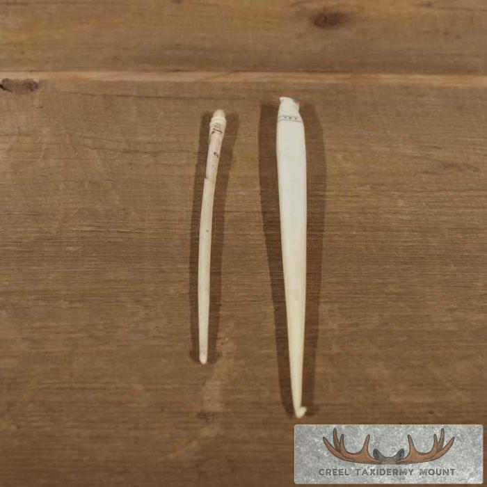 Ivory Crochet Hook Set For Sale - Image 2