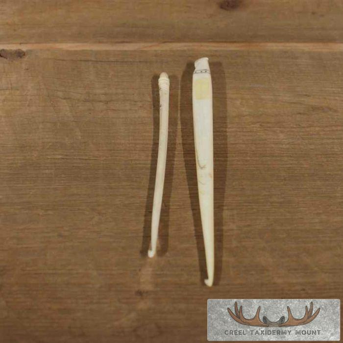 Ivory Crochet Hook Set For Sale - Image 4