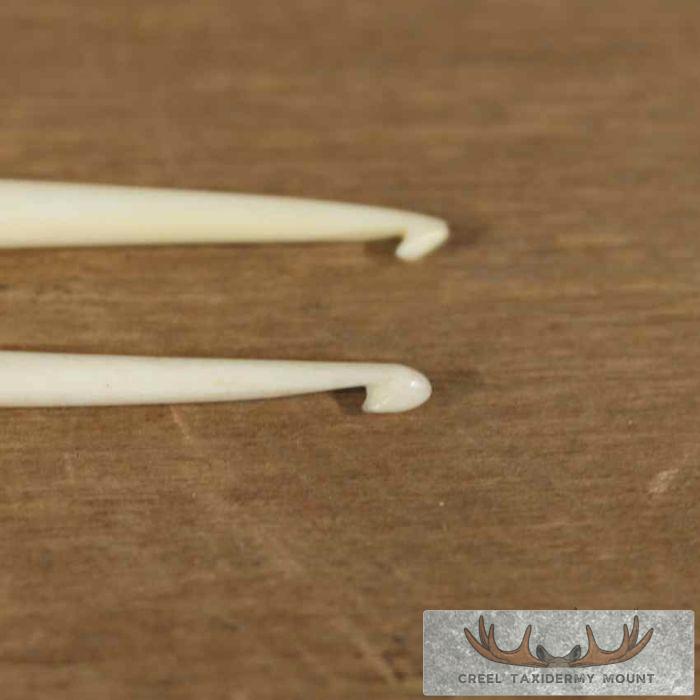 Ivory Crochet Hook Set For Sale - Image 6