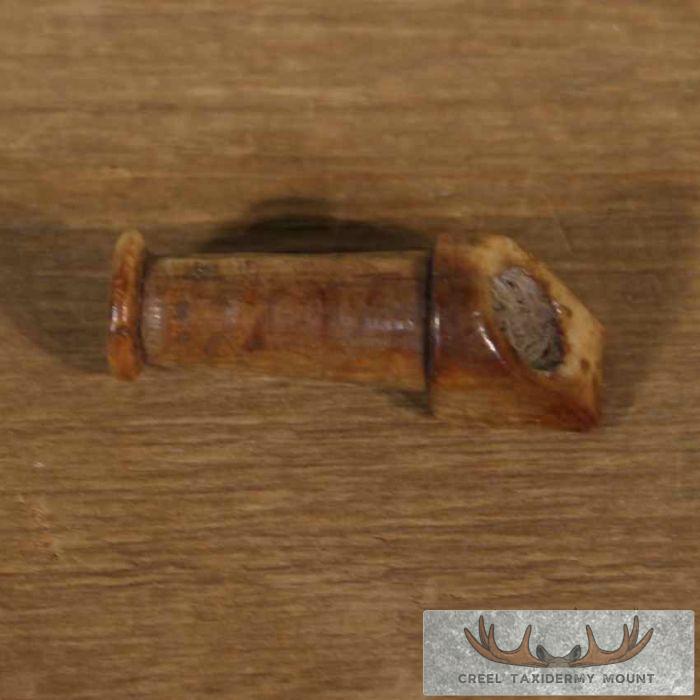 Fossilized Ivory Pipe Stem For Sale - Image 6