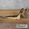 Native Alaskan Crafted Caribou Dogsled & Figurine For Sale - Image 12