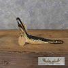 Native Alaskan Crafted Caribou Dogsled & Figurine For Sale - Image 9