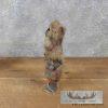 Native Alaskan Crafted Caribou Dogsled & Figurine For Sale - Image 15