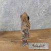 Native Alaskan Crafted Caribou Dogsled & Figurine For Sale - Image 17