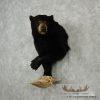 Black Bear 1/2 Life-Size Mount - Image 2