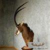 African Sable Antelope Pedestal Mount - Image 6