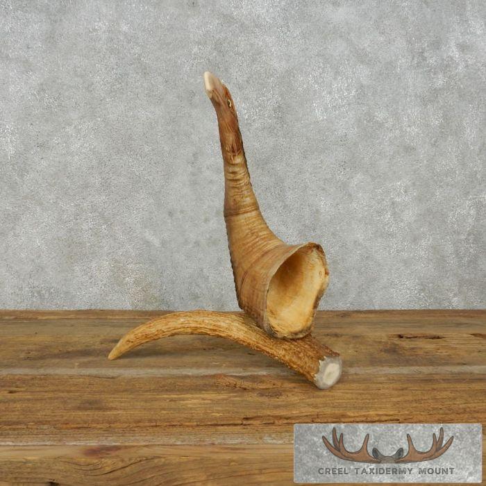 Bighorn Sheep Horn Eagle Head Carving For Sale - Image 8