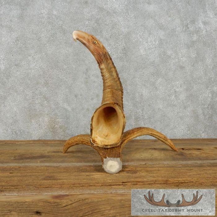 Bighorn Sheep Horn Eagle Head Carving For Sale - Image 9