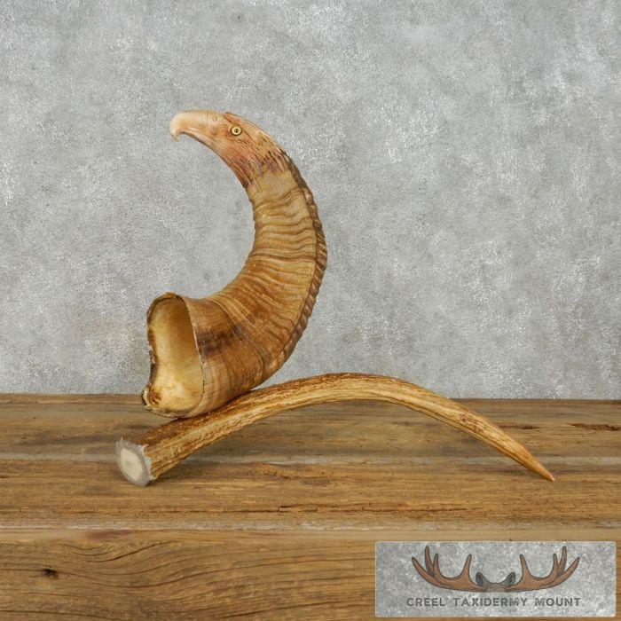 Bighorn Sheep Horn Eagle Head Carving For Sale - Image 2