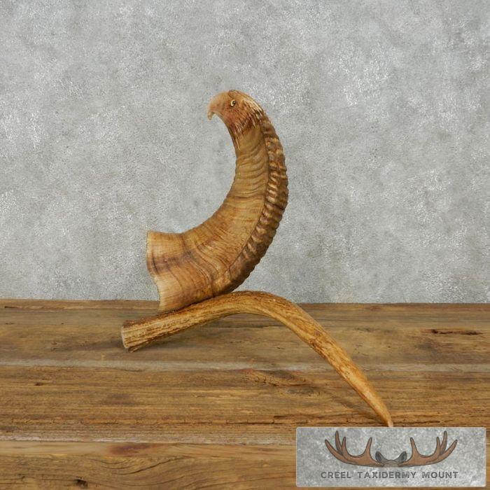 Bighorn Sheep Horn Eagle Head Carving For Sale - Image 6