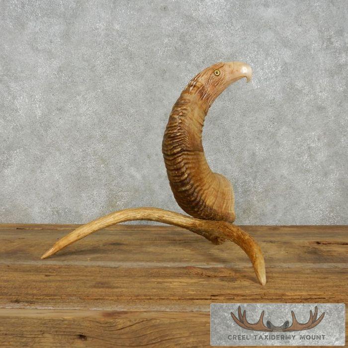 Bighorn Sheep Horn Eagle Head Carving For Sale - Image 7