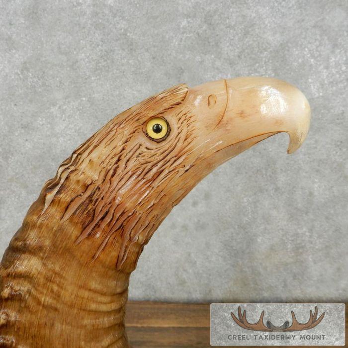 Bighorn Sheep Horn Eagle Head Carving For Sale - Image 5