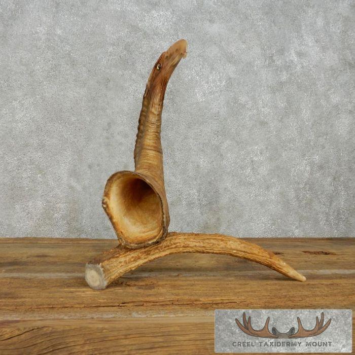 Bighorn Sheep Horn Eagle Head Carving For Sale - Image 3