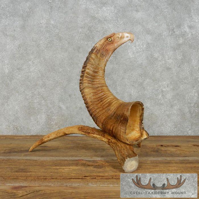 Bighorn Sheep Horn Eagle Head Carving For Sale - Image 5