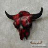 American Buffalo (Bison) Skull Taxidermy Mount For Sale - Image 3