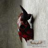 American Buffalo (Bison) Skull Taxidermy Mount For Sale - Image 4