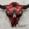 American Buffalo (Bison) Skull Taxidermy Mount For Sale - Image 6