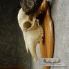 Water Buffalo Skull European Taxidermy Mount For Sale - Image 7