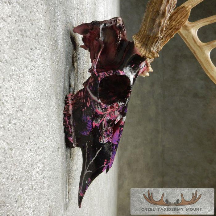 Whitetail Deer Antler Taxidermy Mount For Sale - Image 8