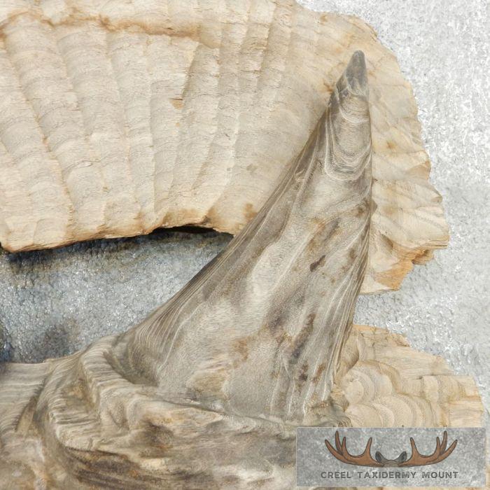 African Rhinoceros Wood Carving Safari Decor For Sale - Image 8