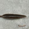 Authentic Maasai African Hunting Spear For Sale - Image 3