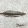 Authentic Maasai African Hunting Spear For Sale - Image 2