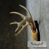 Whitetail Deer Antler Plaque Taxidermy Mount For Sale - Image 4