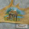 Painted Moose Antler Set Taxidermy Mount For Sale - Image 5