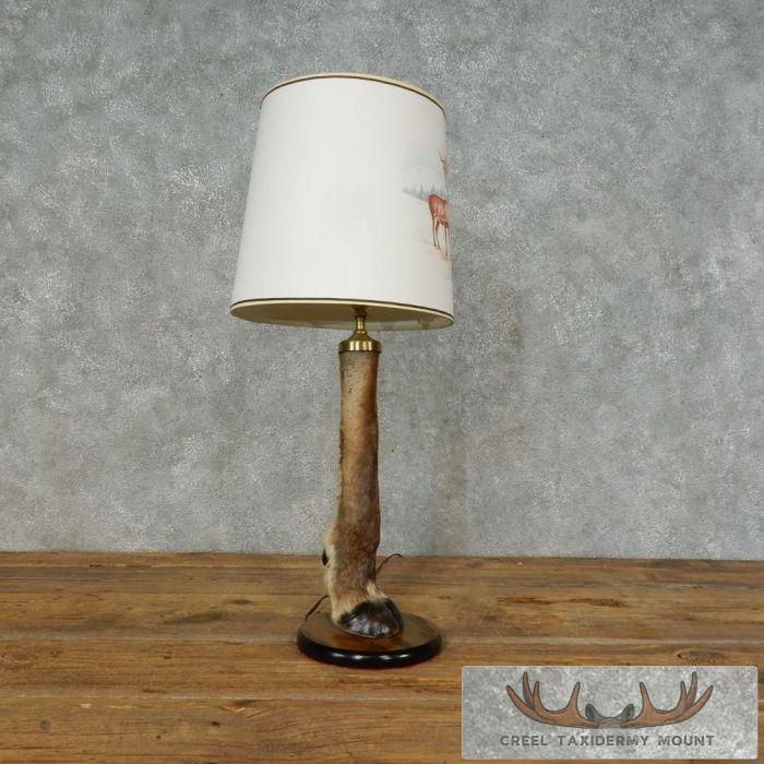 Caribou Hoof Taxidermy Lamp For Sale - Image 3