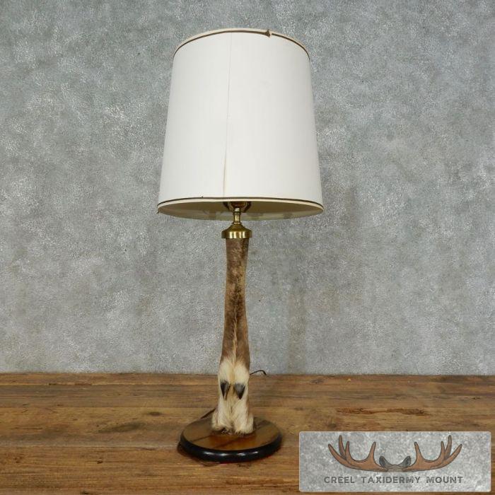 Caribou Hoof Taxidermy Lamp For Sale - Image 2