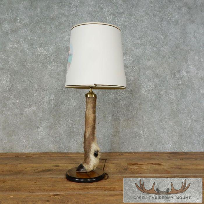Caribou Hoof Taxidermy Lamp For Sale - Image 4